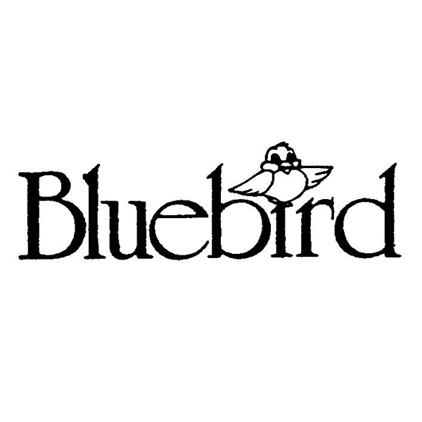 Bluebird Toys
